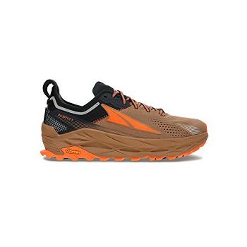 Brown Altra Olympus 5 Men's Trail | AU_CT6376